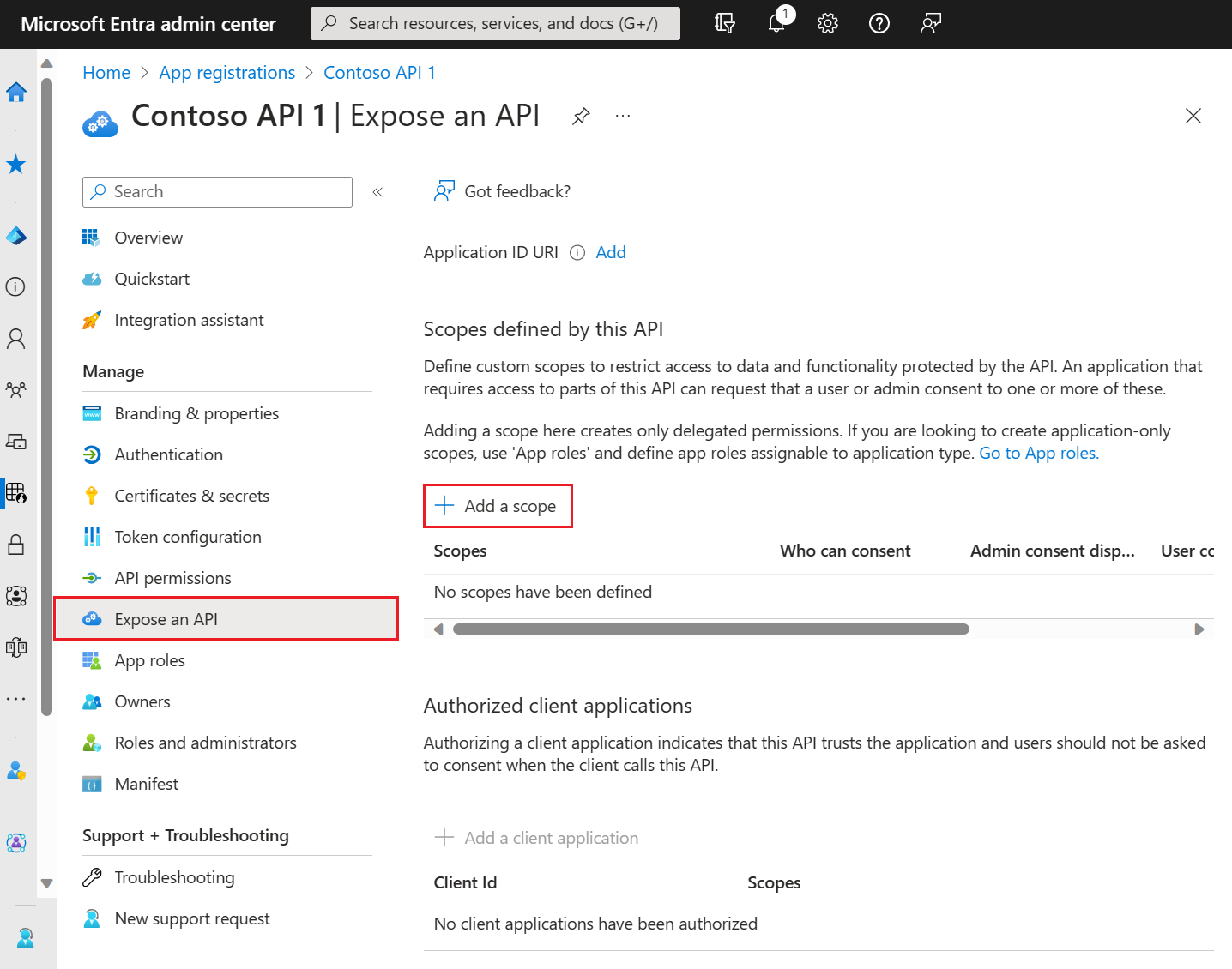 Microsoft Entra Expose an API page showing the Application ID URI and scopes area.